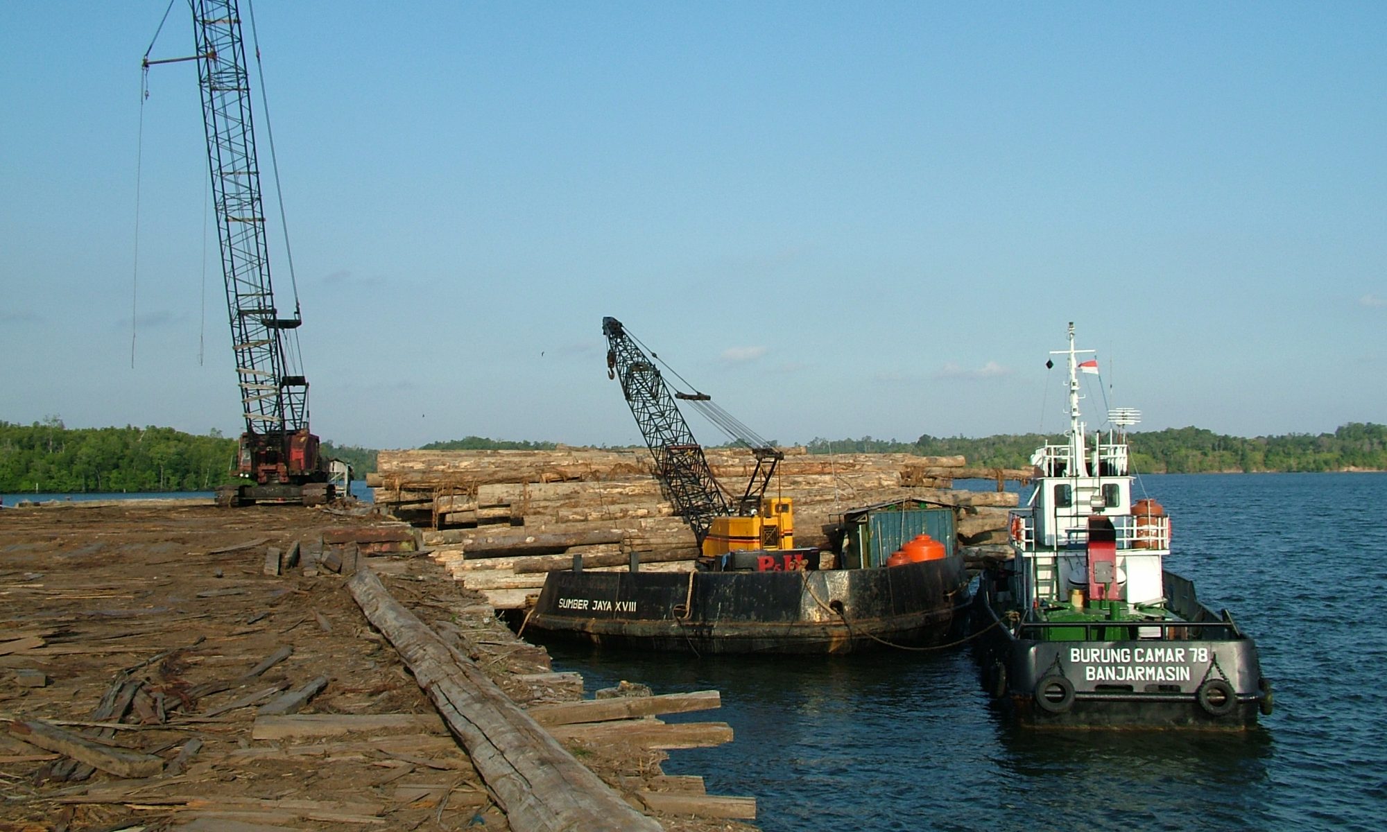 Loading Tropical Timber. RJW Oliver