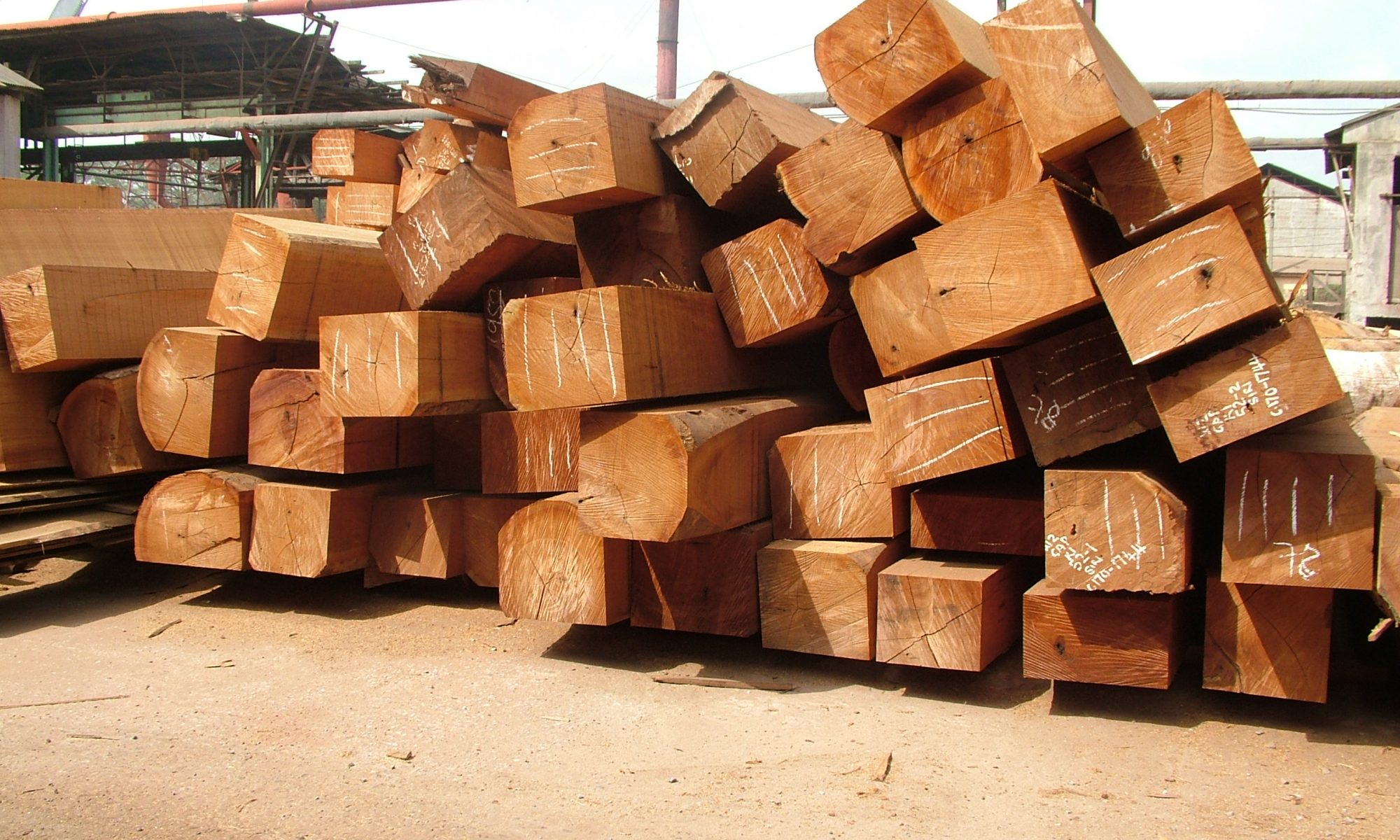 Stack of cut wood for export