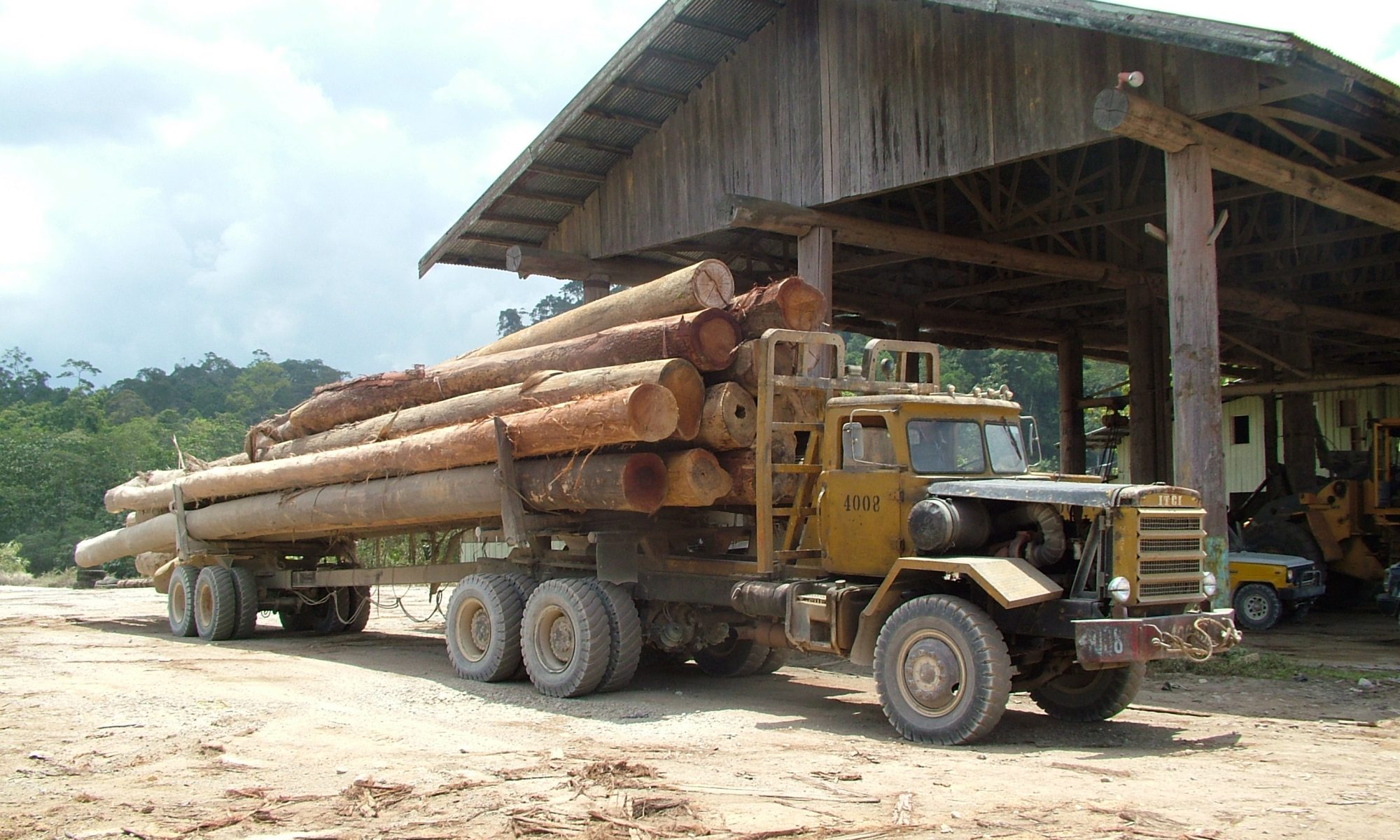 Timber imports